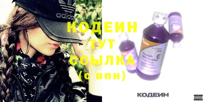 где можно купить наркотик  МЕГА онион  Кодеин Purple Drank  Заречный 